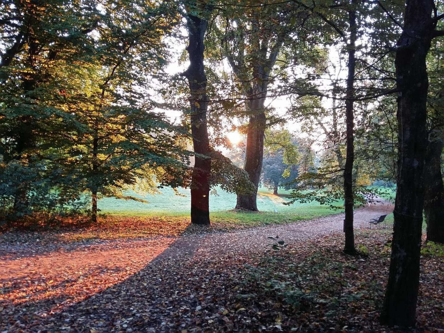 La Maisonnette Du Parc *